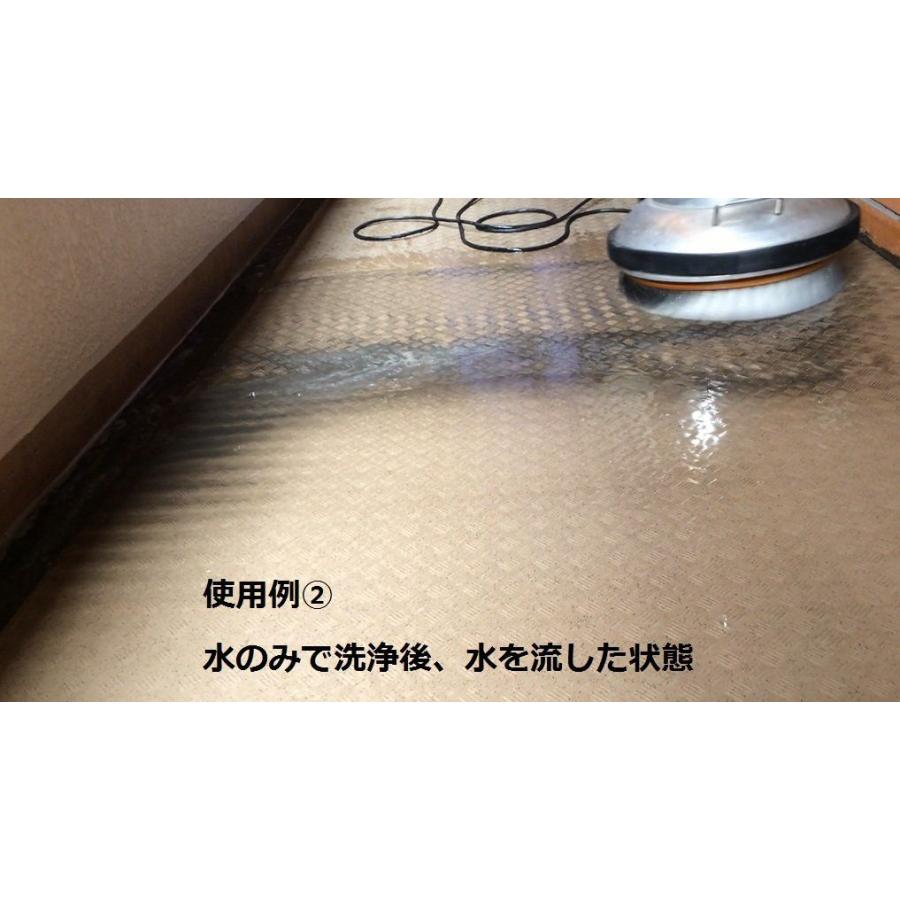 最先端 レボテック 木製台 在庫処分特価 オットセイブラシ 12インチ ポリッシャー洗浄機用 ステンレス 偉大な Www Angkaalam Com