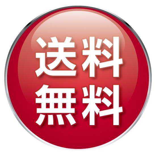 ノーズワーク 犬 知育玩具 おもちゃ 猫 脳トレ 早食い防止 ストレス おやつ 分離不安 　 |  | 21
