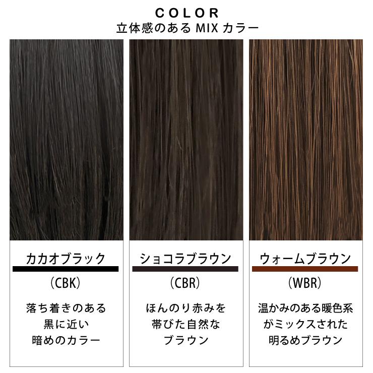 【2,000円クーポン】返品・色交換OK 分け目Lサイズ Web限定商品 部分ウィッグ 頭頂部 ヘアピース 女性用 カバー かつら 簡単 ボリュームアップ 40代 50代 60代の画像
