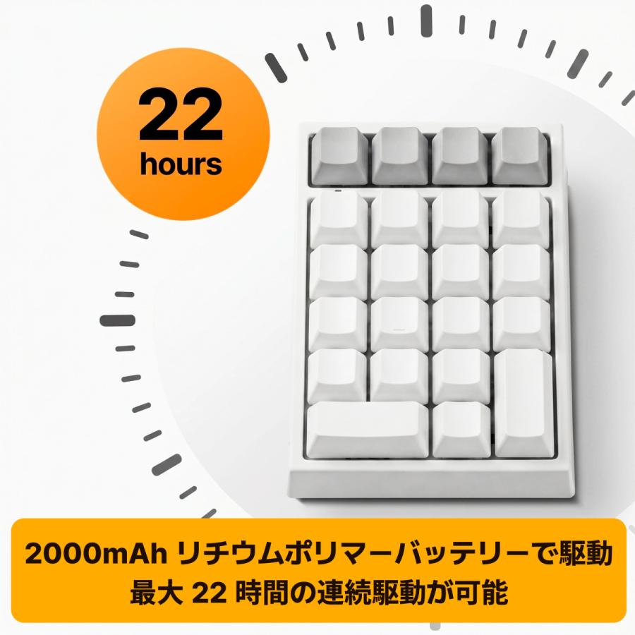 LEOPOLD（レオポルド） FC220TP PD GRAYBLUE メカニカル テンキー