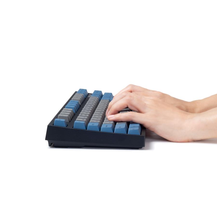 LEOPOLD FC750RBT GRAYBLUE 日本語JIS配列かななし CHERRY MX2A