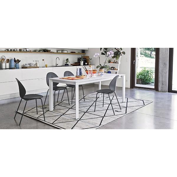 calligaris カリガリス ダイニングチェア バジル BASIL マット