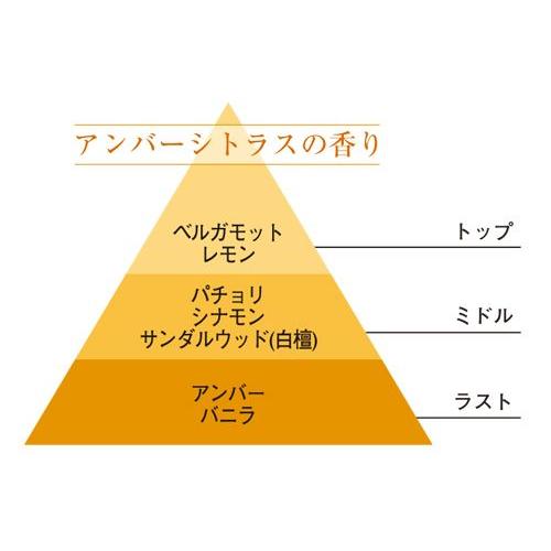 エステバン ESTEBAN アンバー インテリアフレグランスオイル エステバン ESTEBAN アンバー インテリアフレグランスオイル