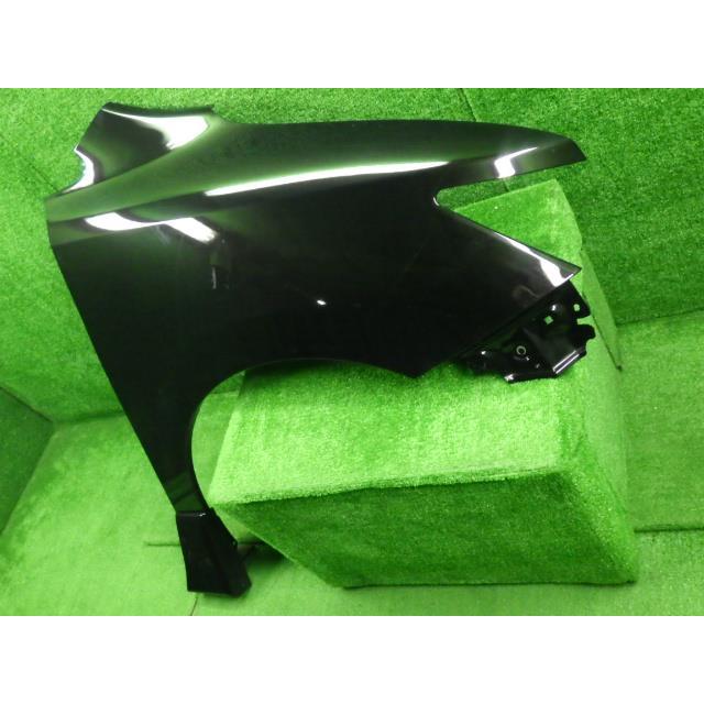 エルグランド DBA-TE52 右Fフェンダー GAE   プロテクターモール付 63100-1JB0B  8931 | エルグランド | 01