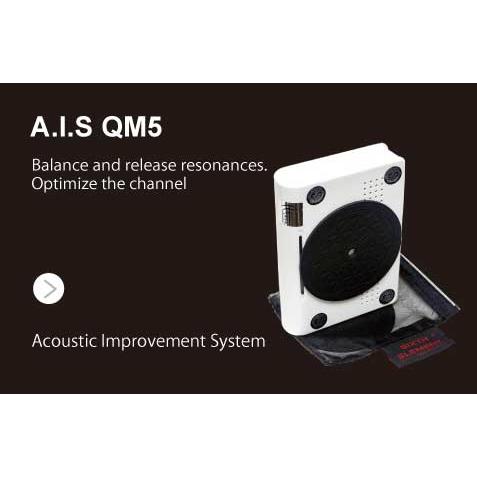 A.I.S QM5 - Sixth Element（シックス・エレメント）の画像