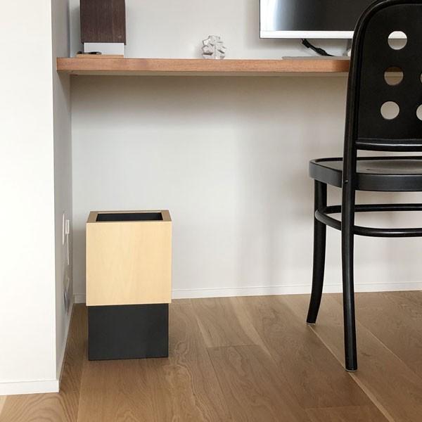 ダストボックスWcube　ブラック |  | 03