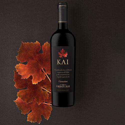 エラスリス カイ 2010年 正規品 辛口 赤ワイン 750ml 【ヴィーニャ