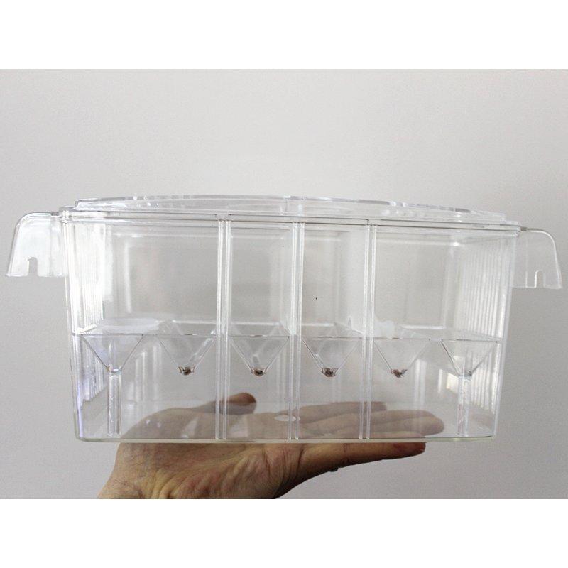 新商品）アクリル水槽（可動式セパレートタイプ）