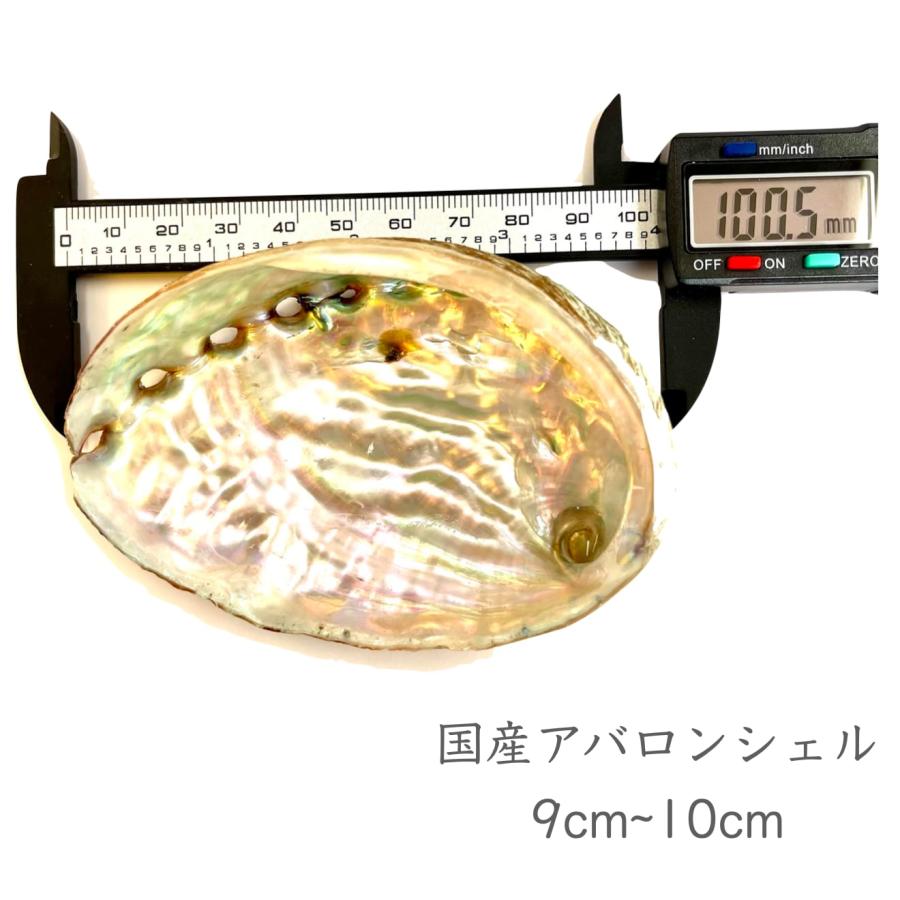 国産【 アバロン シェル 】9cm~10cm 天然 自然 貝殻 皿 スマッジング