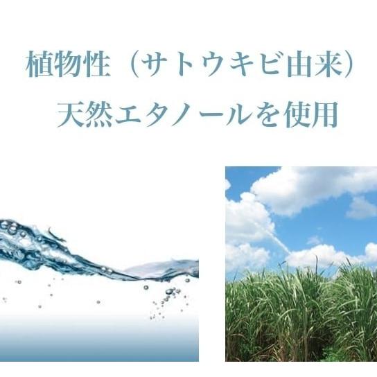 【アロマスプレー】愛媛 宇和島 柑橘王国 カボス ベルガモット 柚子 みかん 香水 リラックス 癒し マスクスプレー  お土産 プレゼント |  | 03