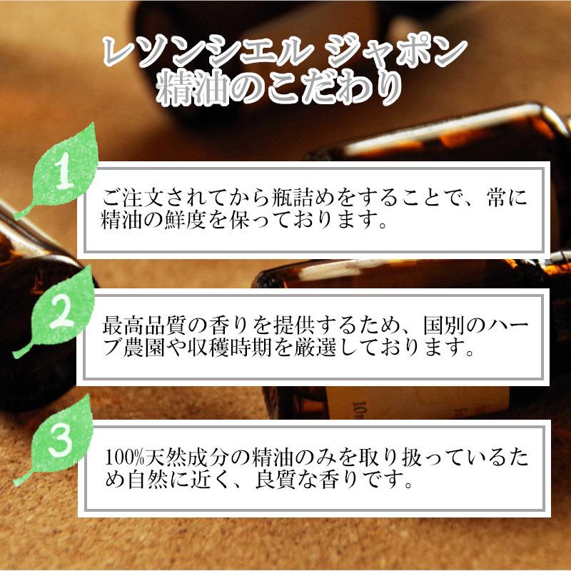 【ジンジャー】精油 10ml  スパイシー 温まる 落ち着き リラックス アロマ 自然 天然  エッセンシャルオイル シンプル 単体 根 |  | 04
