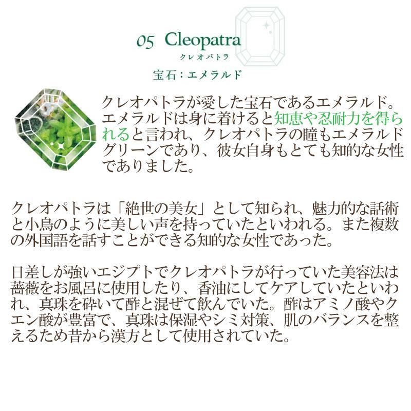 【ジュエルオブビューティー】ペパーミント ネトル ローズピンク バタフライピー ジャスミン ドライリンゴ ハーブティー ティーパック 宝石 エメラルド 箱付き |  | 03