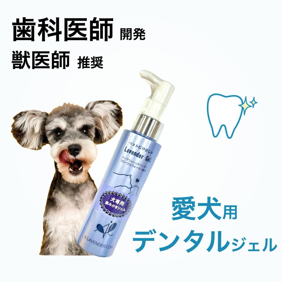 愛犬用 》デンタル ジェル （大容量 1年分） 歯科医師 開発 120ml