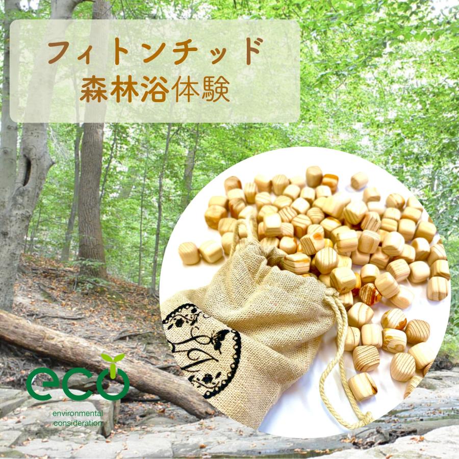 檜ヒバ 香るサシェ》 国産 天然 ひのき ヒバ 70 g 防虫 防止 害虫 除け
