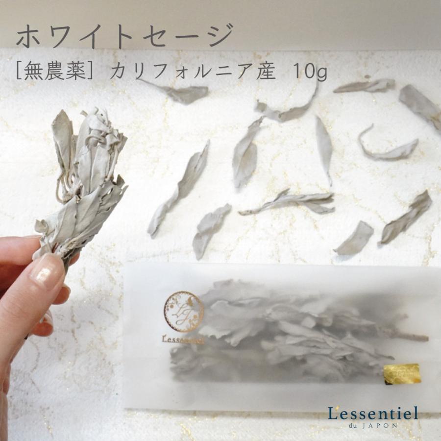 【 ホワイト・セージ 】10g サルビア ハーブ アロマ 浄化 瞑想 お香 無農薬 カリフォルニア デトックス おうち時間 | 