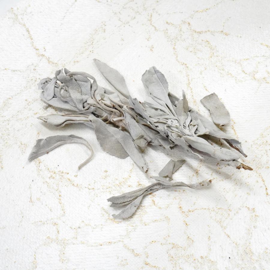【 ホワイト・セージ 】10g サルビア ハーブ アロマ 浄化 瞑想 お香 無農薬 カリフォルニア デトックス おうち時間 |  | 01