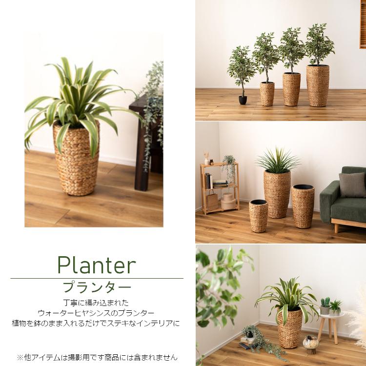 グリーンベース プランター 鉢カバー 23cm S ハイタイプ ウォーターヒヤシンス インテリアグリーン ナチュラル 一部地域除く送料無料　 |  | 03
