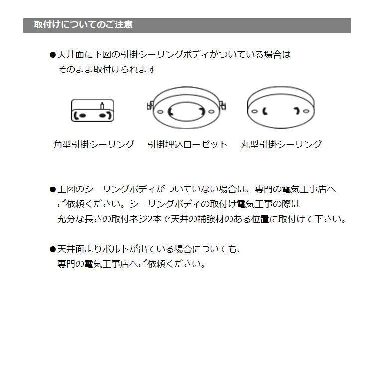 LIBELLULE リベリュール ペンダント ランプ スチール フォレスティア 一部地域除く送料無料_5