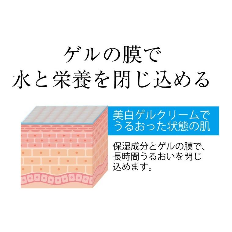 シルク姉さん愛用 レステモ美白ゲルクリーム 90ｇ 送料無料 オールインワン 美白化粧品 美白美容液 乳液 クリーム 乾燥肌、小 シワ、シミ、ハリ不足｜lesthemo｜04