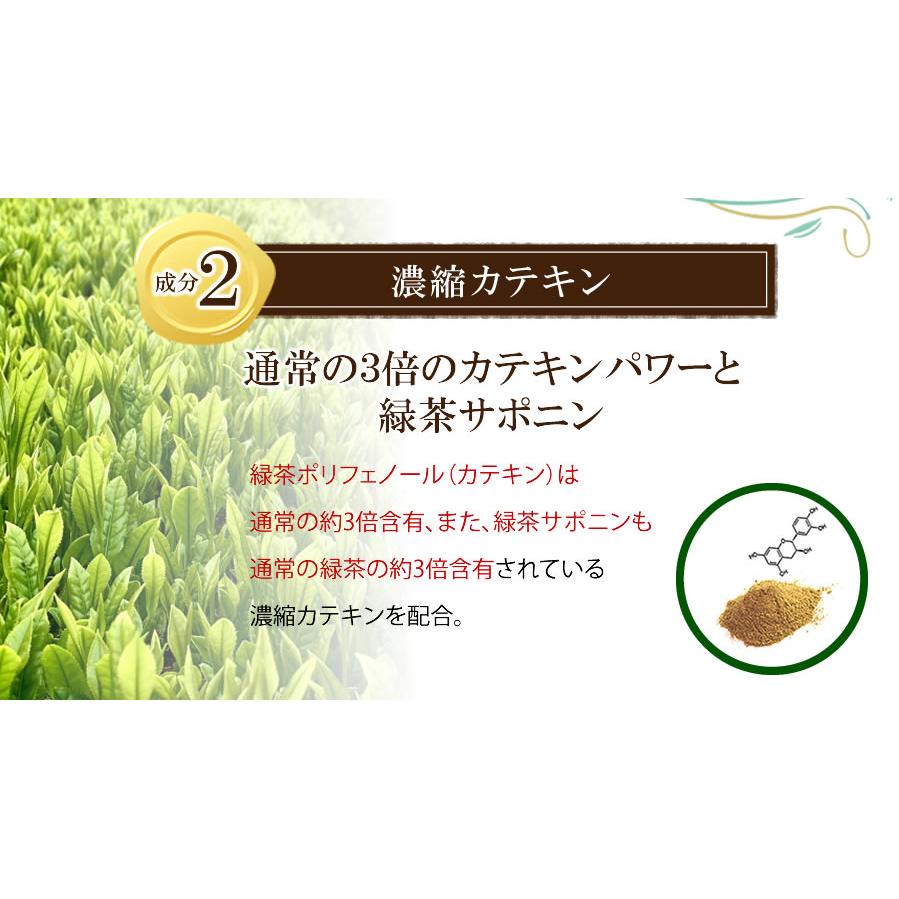 粉末茶 ダイエット お茶 ダイエットティー 粉末 パウダー 「スキット