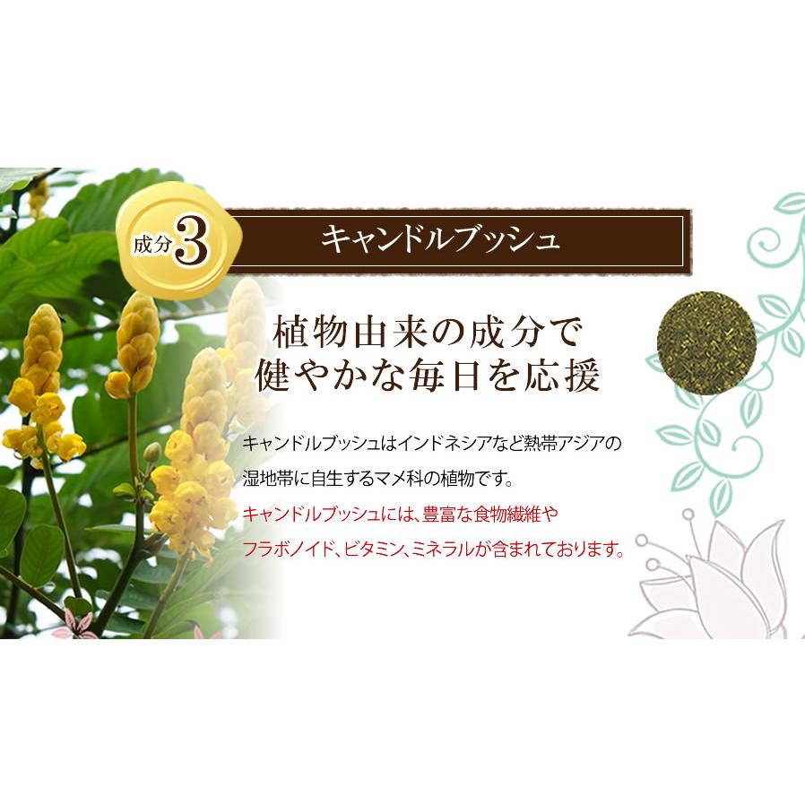 1位受賞 新聞掲載の話題のダイエットティー】 お茶を変えるだけの