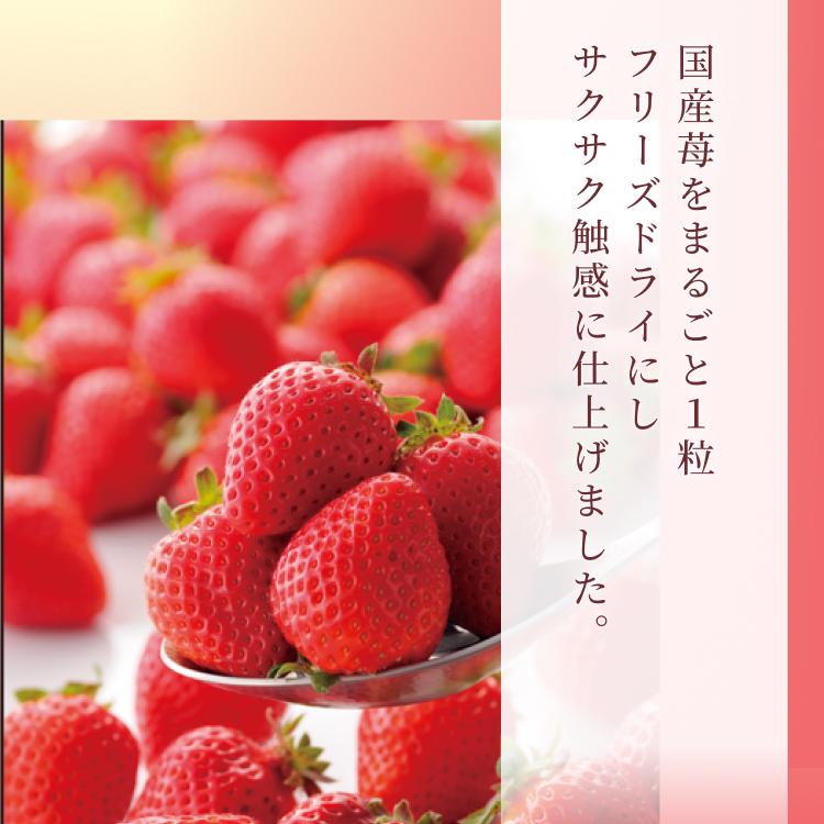 ホワイトデー お返し 2026 プレゼント ギフト チョコレート ルタオ プチショコラストロベリー  3個 | ルタオ | 02
