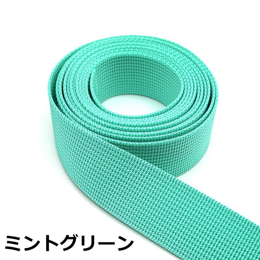 全20色 25mm巾ポリエステルテープ 5mカット 約1.1mm厚 持ち手や