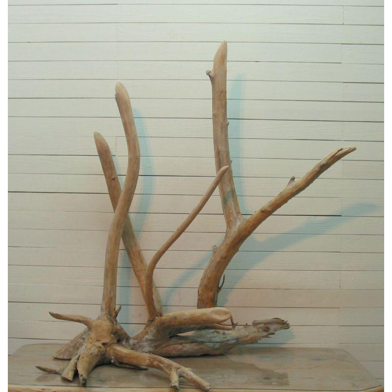 人気満点 大型幹枝付き流木 G139 インテリア店舗ディスプレイ撮影用オブジェガーデニング園芸用流木素材としてやdiy工作棚板ペット爬虫類用等に使える 流木枝幹板素材 G139 流木アート レットイットビー 通販 Yahoo ショッピング 50 Off Www Maxipiso Com Ar