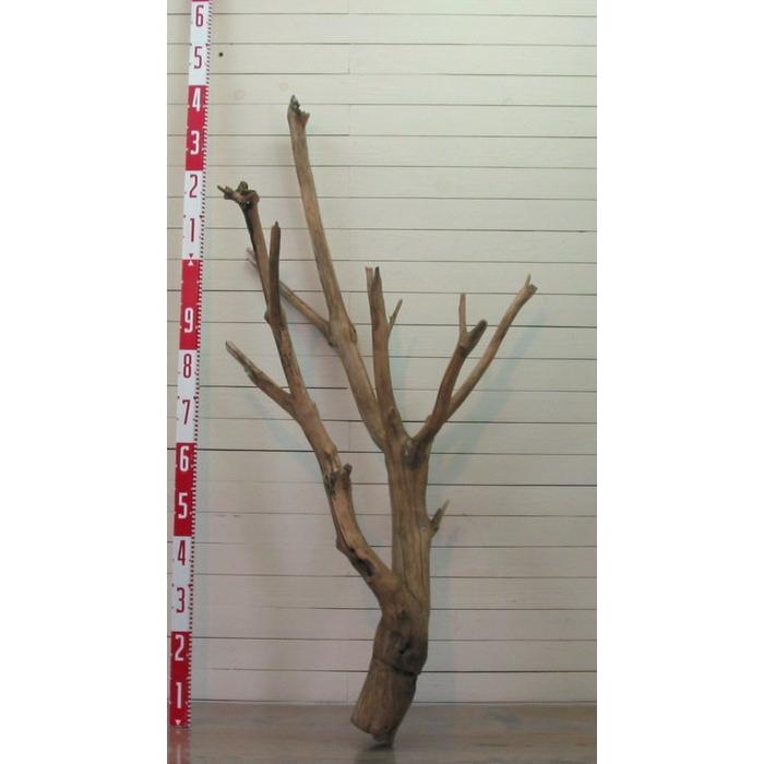 大型枝付き幹流木 g161 国産流木素材 DIY木材 工作 インテリア店舗