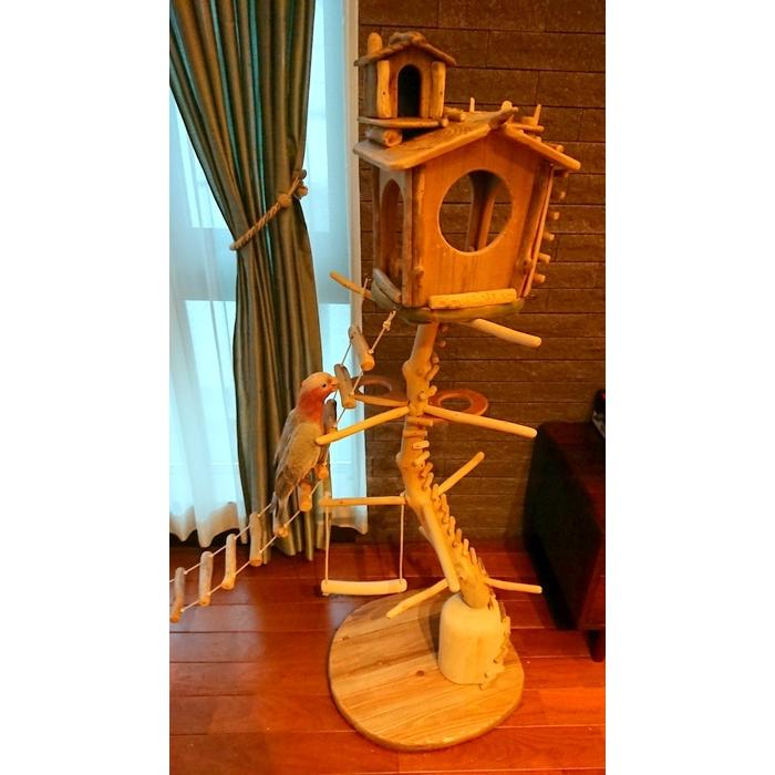 【正規品】 【 shop ギャラリーコーナー 】東京都 N 様のオリジナル流木バードジムタワーのご利用状況（gr0016） 【JSB7334481026】(26130円)