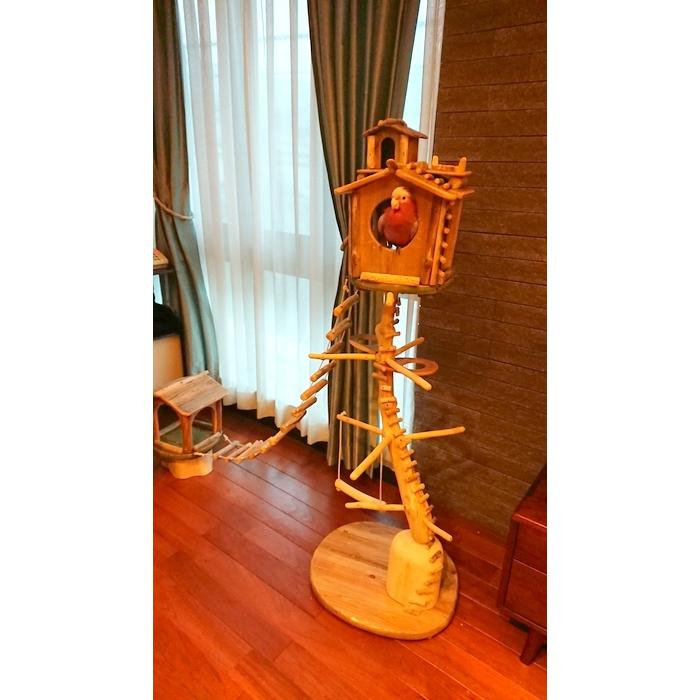 【正規品】 【 shop ギャラリーコーナー 】東京都 N 様のオリジナル流木バードジムタワーのご利用状況（gr0016） 【JSB7334481026】(26130円)