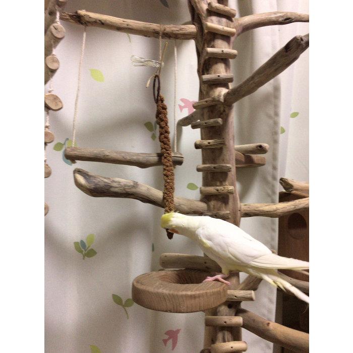 新春SALE！ 【 shop ギャラリーコーナー 】神奈川県 I 様のオリジナル大型流木バードツインタワーのご利用状況（gr0027） 【IQY1188168423】(42330円)