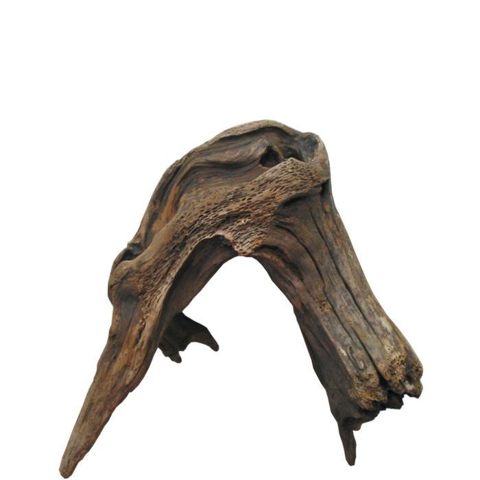 最安 大型変形流木 I314 国産流木素材 インテリア店舗オブジェ 華材フラワーアレンジ園芸ガーデニング 爬虫類ゲージアクセサリー 撮影用 I314 流木アート レットイットビー 通販 Yahoo ショッピング 50 Off M Mahdi Net