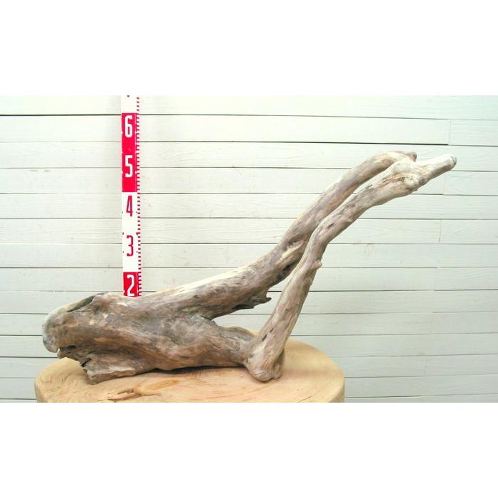 大型変形流木 i409 国産流木素材 DIY資材 工作用素材 ディスプレイ用素材 ガーデニング用資材 |  | 01