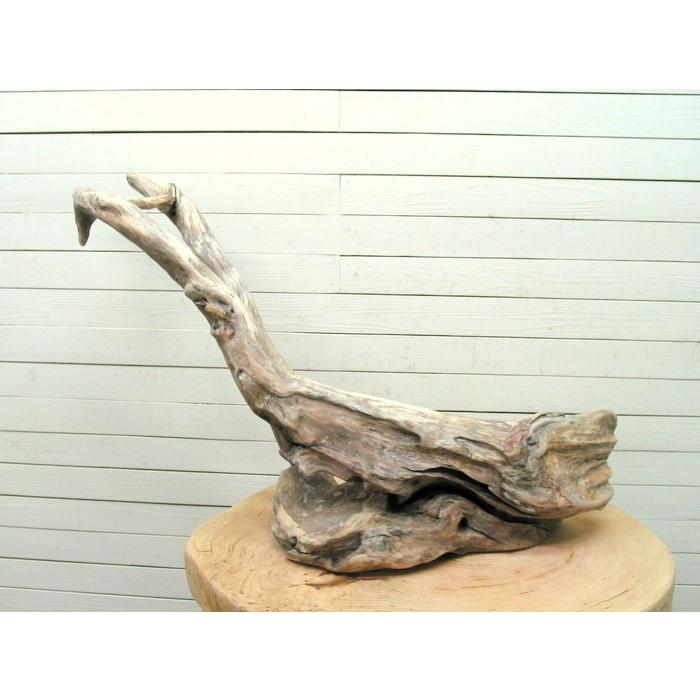 大型変形流木 i409 国産流木素材 DIY資材 工作用素材 ディスプレイ用素材 ガーデニング用資材 |  | 03