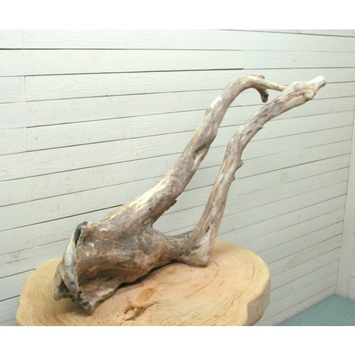 大型変形流木 i409 国産流木素材 DIY資材 工作用素材 ディスプレイ用素材 ガーデニング用資材 |  | 04