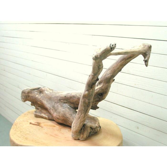 大型変形流木 i409 国産流木素材 DIY資材 工作用素材 ディスプレイ用素材 ガーデニング用資材 |  | 05