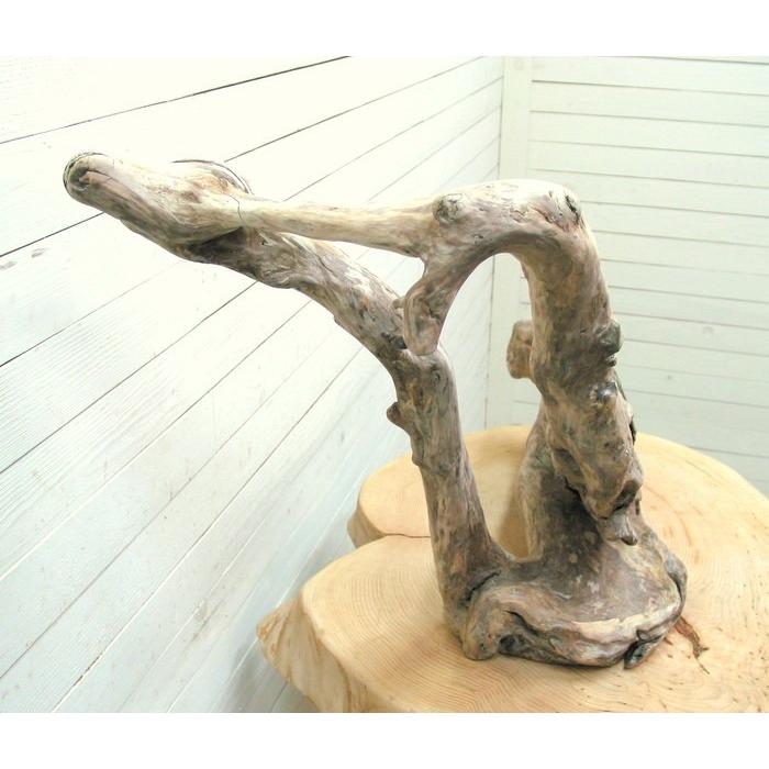 大型変形流木 i409 国産流木素材 DIY資材 工作用素材 ディスプレイ用素材 ガーデニング用資材 |  | 06