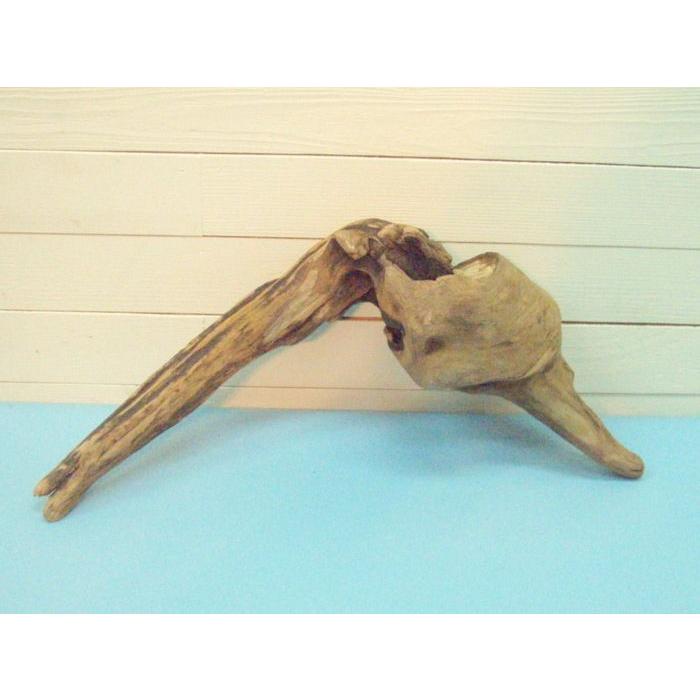 何かに見えそうな流木素材 j08 インテリア店舗ディスプレイ用ガーデニング華材撮影用爬虫類用流木素材　送料無料 |  | 03