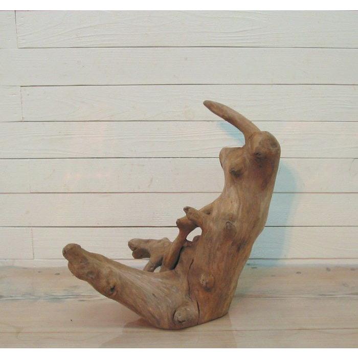 変形流木　何かに見えそうな流木素材　j43　国産流木素材　インテリア店舗ディスプレイオブジェ　アクアリュウム爬虫類用ゲージアクセサリー　撮影用素材 |  | 01