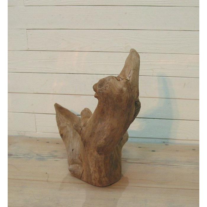 変形流木　何かに見えそうな流木素材　j43　国産流木素材　インテリア店舗ディスプレイオブジェ　アクアリュウム爬虫類用ゲージアクセサリー　撮影用素材 |  | 03