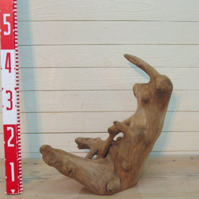 変形流木　何かに見えそうな流木素材　j43　国産流木素材　インテリア店舗ディスプレイオブジェ　アクアリュウム爬虫類用ゲージアクセサリー　撮影用素材 |  | 05