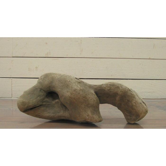 変形流木　何かに見えそうな流木素材  j52　国産流木素材　インテリア店舗ディスプレイオブジェ　アクアリュウム爬虫類用ゲージアクセサリー　撮影用素材 |  | 01