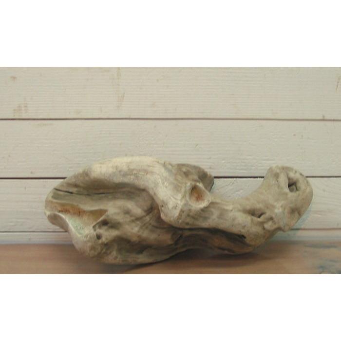 変形流木　何かに見えそうな流木素材  j52　国産流木素材　インテリア店舗ディスプレイオブジェ　アクアリュウム爬虫類用ゲージアクセサリー　撮影用素材 |  | 05