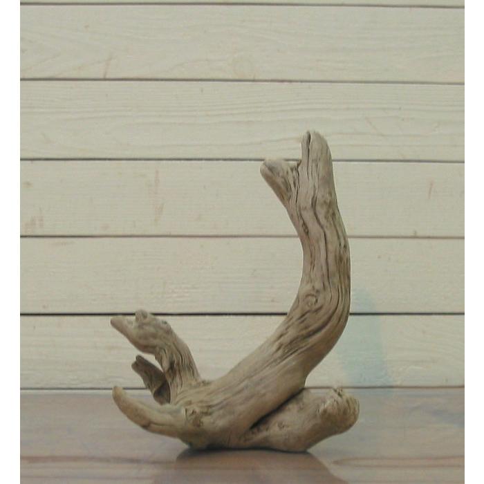 変形流木　何かに見えそうな流木素材  j53　国産流木素材　インテリア店舗ディスプレイオブジェ　アクアリュウム爬虫類用ゲージアクセサリー　撮影用素材 |  | 02