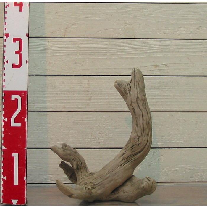 変形流木　何かに見えそうな流木素材  j53　国産流木素材　インテリア店舗ディスプレイオブジェ　アクアリュウム爬虫類用ゲージアクセサリー　撮影用素材 |  | 04