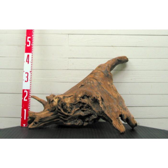 何かに見えそうな大型変形流木素材 j67 国産流木素材 工作用素材 ディスプレイ用 ガーデニング用資材等に |  | 01