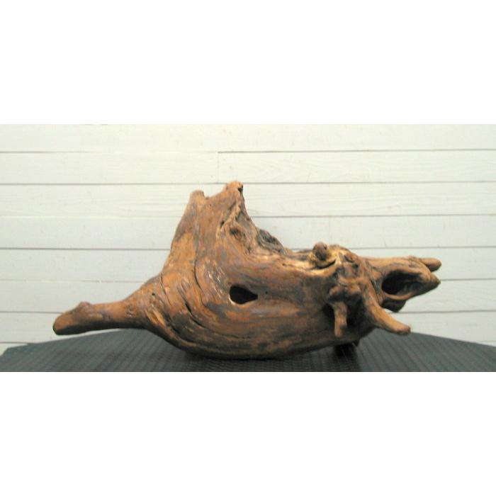 何かに見えそうな大型変形流木素材 j67 国産流木素材 工作用素材 ディスプレイ用 ガーデニング用資材等に |  | 03