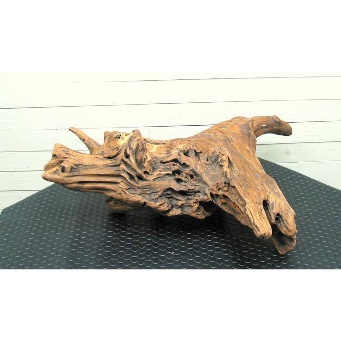 何かに見えそうな大型変形流木素材 j67 国産流木素材 工作用素材 ディスプレイ用 ガーデニング用資材等に |  | 04