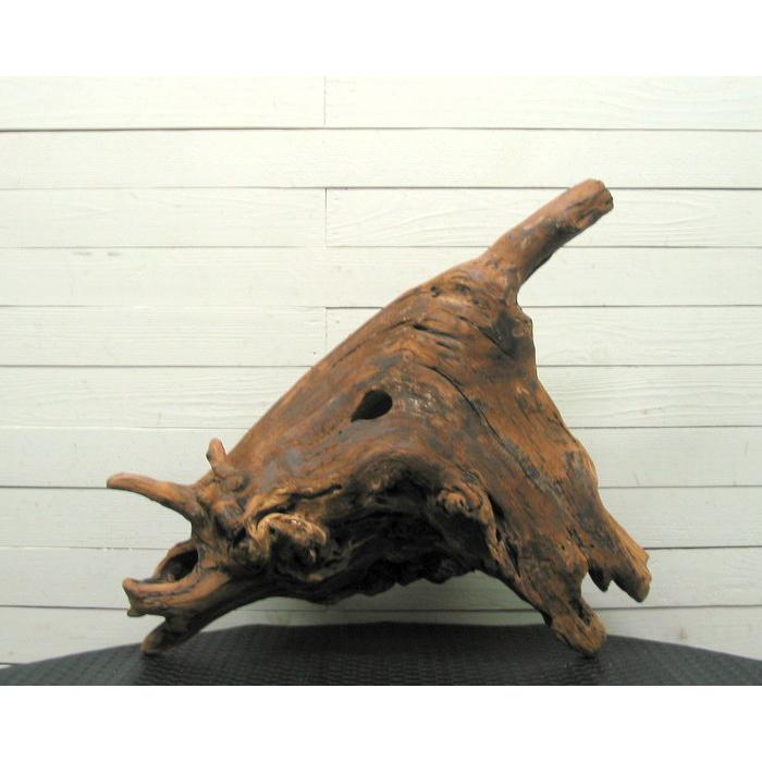 何かに見えそうな大型変形流木素材 j67 国産流木素材 工作用素材 ディスプレイ用 ガーデニング用資材等に |  | 05